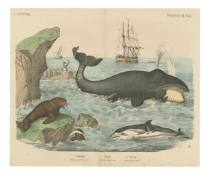 Carl Friedrich August, Whaling Scene with Bowhead Whale, Dolphin and Sea Lion, 1890, Print