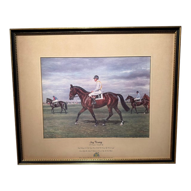 Mid 20th Century Framed Print of Racehorse Jay Trump by Richard Stone Reeves For Sale