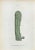 Lithograph hand watercolored. Plate from "Atlante di Botanica popolare ossia Illustrazione di Piante Notevoli di ogni...