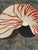 Wood R & Y Augousti Nautilus Shell Large Tray For Sale - Image 7 of 10