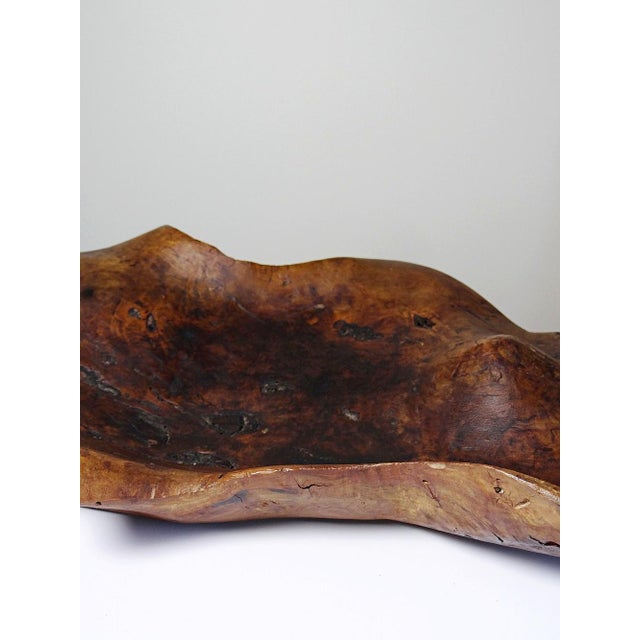 Large Bowl in Dark Raw Wood, 1950s For Sale - Image 10 of 17