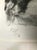 Natasha Zupan Signed Limited Edition Print “Wet Dusk,” 10/10 For Sale In New York - Image 6 of 12