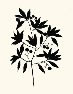 Codex Tree, Giclée Print by Philippa Katz