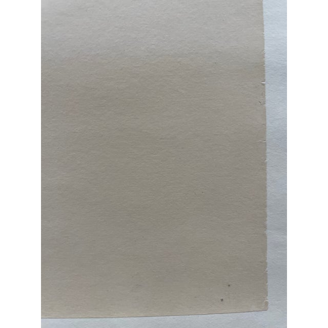 1960s Illustration Stop the H Bomb Tests, Limited Edition Serigraph by Ben Shahn, c.1962 For Sale - Image 4 of 9