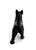 Antique Cast Iron Scottish Terrier Doorstop For Sale In Los Angeles - Image 6 of 7