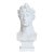French Vintage Plaster Bust of a Woman in Laurel Leaf Crown For Sale