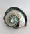 Jade Rare Turbo Marmoratus Shell For Sale - Image 8 of 9