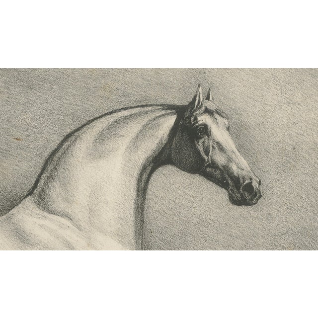 After Chalon, Mambrino Thoroughbred Horse Portrait, 1840, Lithograph For Sale - Image 4 of 9