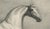 After Chalon, Mambrino Thoroughbred Horse Portrait, 1840, Lithograph For Sale - Image 4 of 9