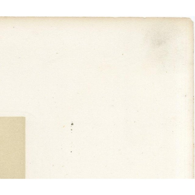 Paper After Van Marcke, Parthenais Bull, , 1873, Paper For Sale - Image 7 of 12