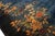 1930s Royal Blue Solid Floral Modernist Antique Chinese Art Deco Gallery Rug For Sale - Image 12 of 12