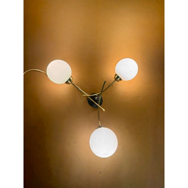 Wall Sconce from Lunel, France, 1950s For Sale - Image 13 of 13