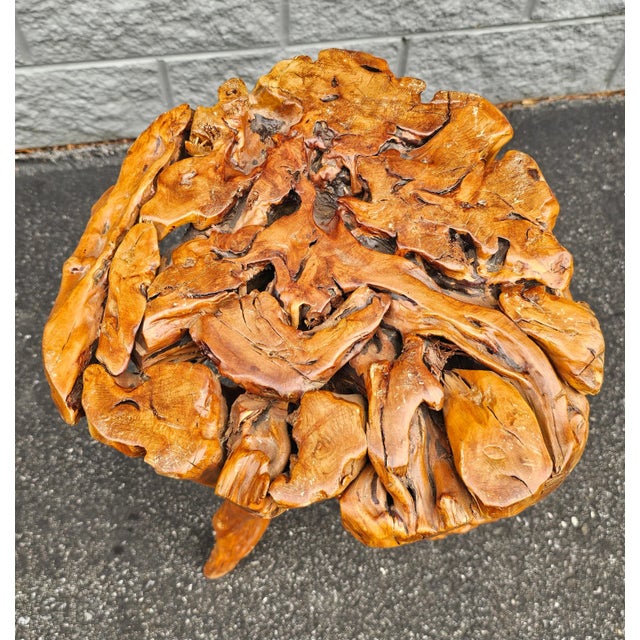 Wood Varnished Driftwood Root Natural Organic Wood Pedestal Side End Table Stand For Sale - Image 7 of 7