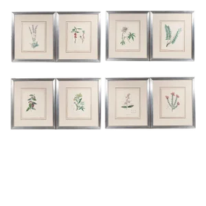8 Hand Colored 19c. Botanical Artworks in Silvered Frame