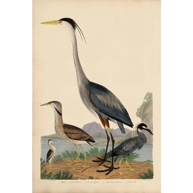 Textile Wilson Great Blue Heron Print For Sale - Image 7 of 7