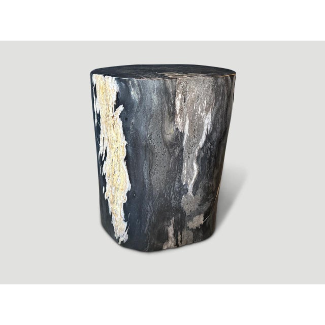 Andrianna Shamaris Exquisite High Quality Petrified Wood Side Table For Sale - Image 16 of 18