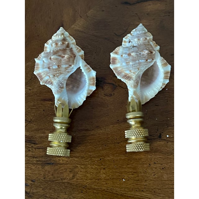 Vintage pair of Florida sea shell lamp finials on brass bases.