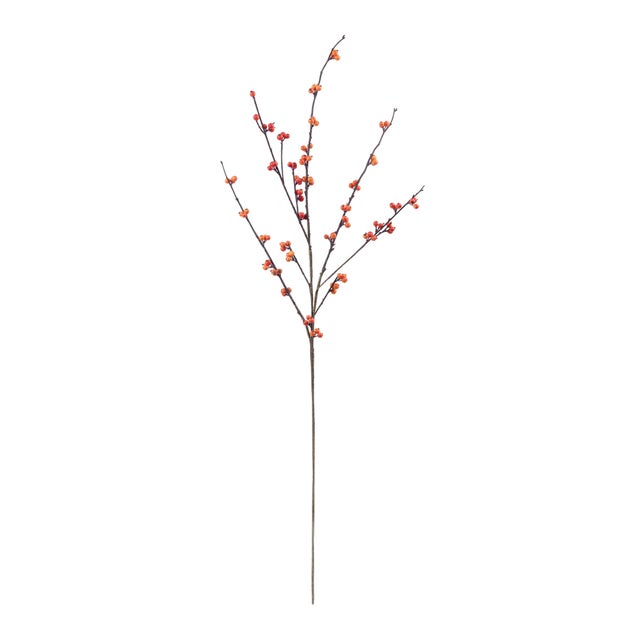 Add natural texture and seasonal warmth to your décor with this Decorative Berry Branch Spray set. Designed with slender,...