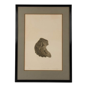 Framed Paper Print "Condor Man" Signed and Numbered