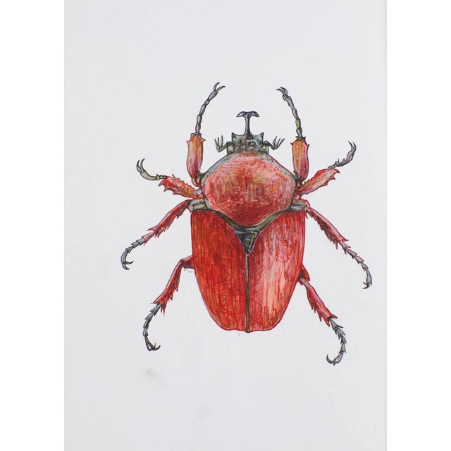 Juris Butans, Red Beauty, 2021, Mixed Media and Paper For Sale - Image 3 of 3