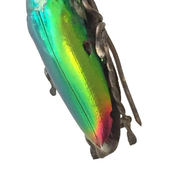 Art Deco Circa 1900 Egyptian Revival Beetle Brooch For Sale - Image 3 of 5