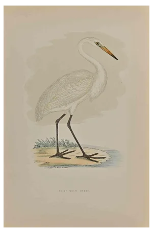 Alexander Francis Lydon, Great White Heron, Original Woodcut Print, 1870