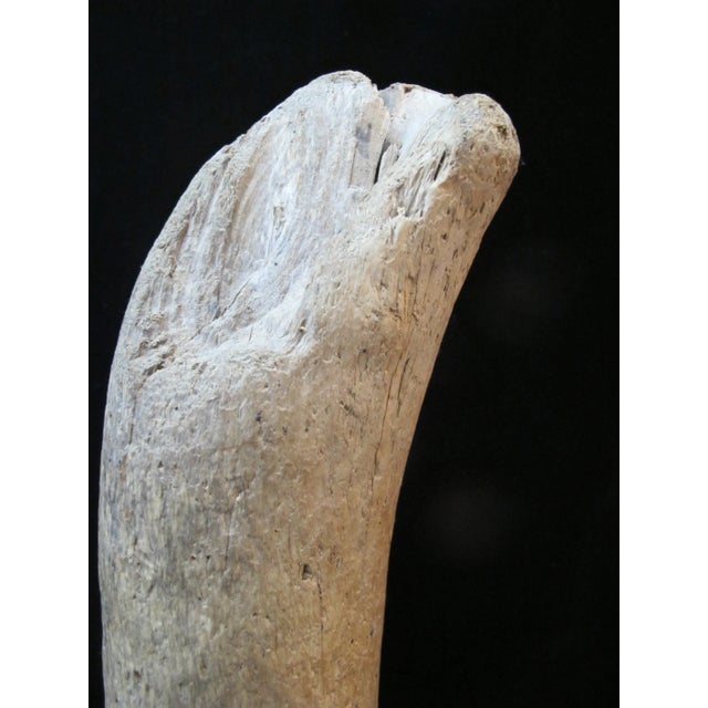 Native American Style Chief of the Darkness Carved Wood Pole by Kay Benson For Sale In Portland, OR - Image 6 of 9