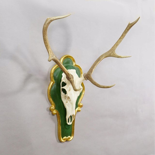 Rustic European Large 8 Pointer Red Deer Trophy on Wooden Plaque For Sale - Image 3 of 5