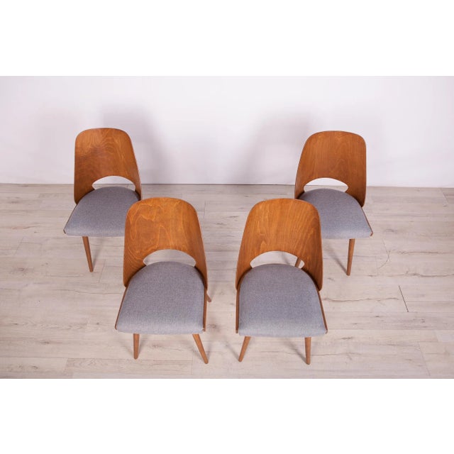 Model Lollipop Dining Chairs from Tatra, 1960s, Set of 4 For Sale - Image 4 of 17