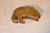 19th Century Black Forest Bear Clothes Brush For Sale In Greensboro - Image 6 of 6