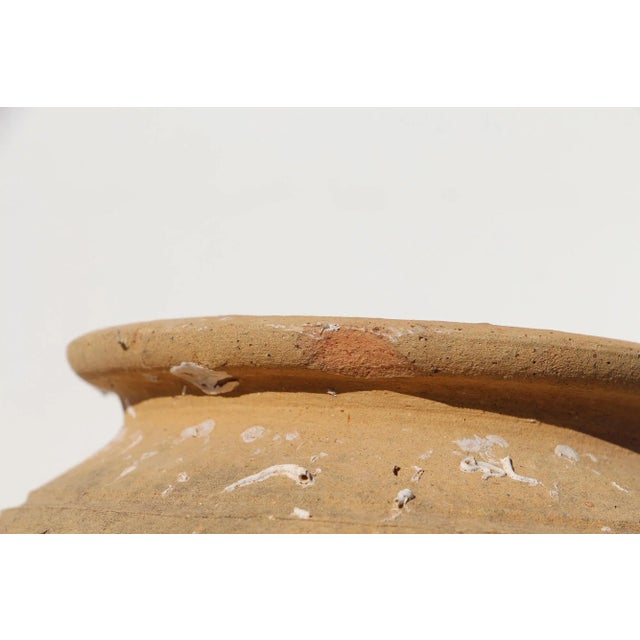 Brown 19th Century Antique Terracotta Octopus Trap Undersea Pot For Sale - Image 8 of 13