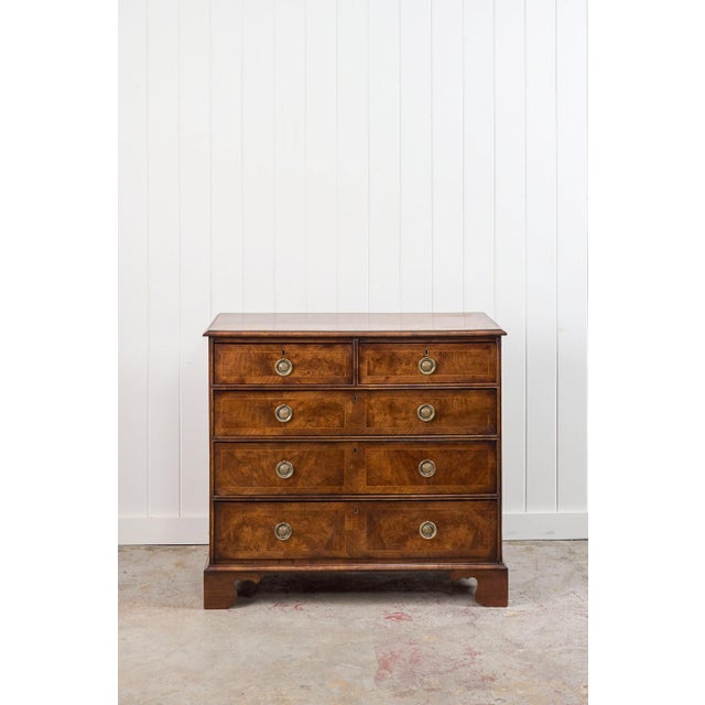 English Exquisite 19th Century Burl Walnut Two Over Three Chest With Rings Pulls For Sale - Image 3 of 10