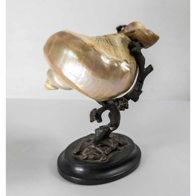 Baroque 19th Century Continental European French or German Bronze With Turbo Shell, Kunstkammer Object For Sale - Image 3 of 14