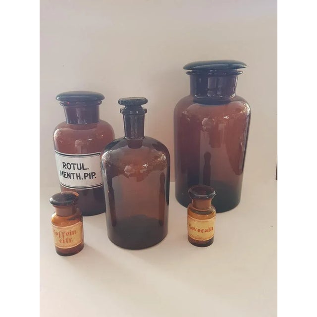 Vintage Convolut Pharmacist Bottles, Set of 5 For Sale - Image 5 of 5