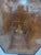 19th Century Napoleon III Tilting Pedestal Table in Mahogany For Sale - Image 10 of 12
