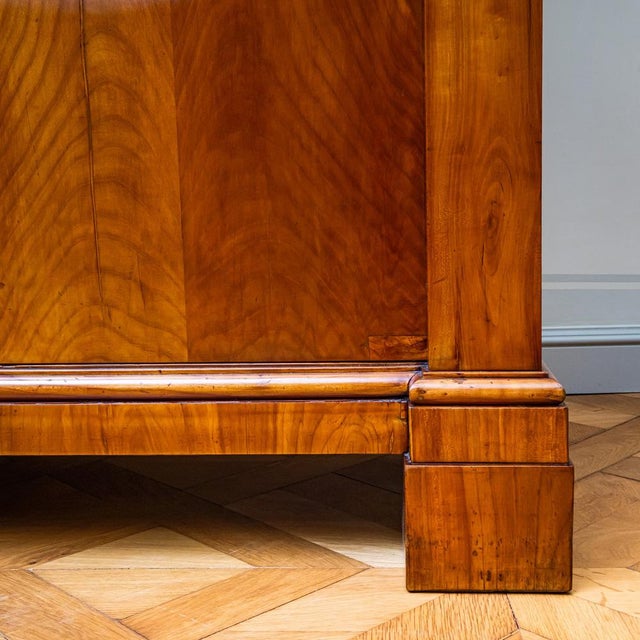 Biedermeier Cherrywood Bookcase, Germany, 1820 For Sale - Image 10 of 15