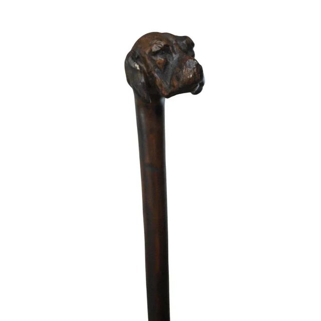 Antique Cane Carved with Dogs Head, 1900 For Sale - Image 3 of 8