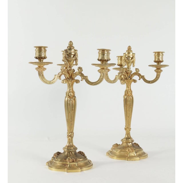 19th Century Louis XV Candelabras in Gold Gilt Bronze, Set of 2 For Sale - Image 4 of 10