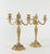19th Century Louis XV Candelabras in Gold Gilt Bronze, Set of 2 For Sale - Image 4 of 10