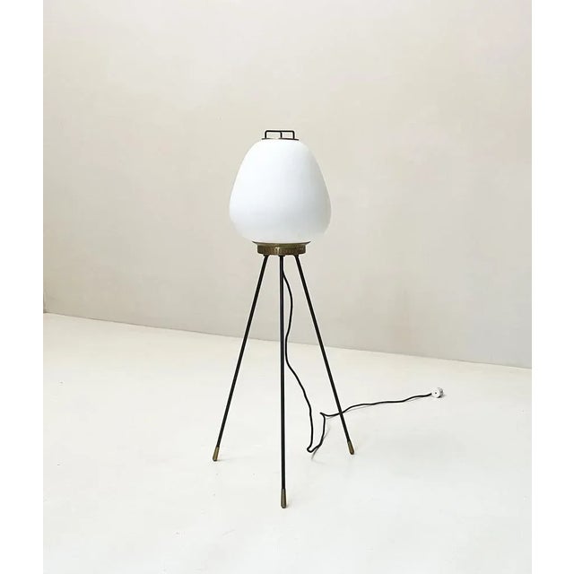 Metal Floor Lamp from Stilnovo, 1950s For Sale - Image 7 of 7