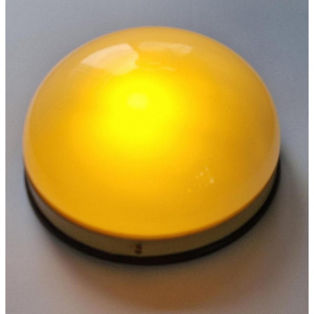 Mid-Century Ceiling Lamps, 1950s For Sale - Image 9 of 18