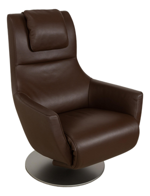 Brown Leather Stand Up Chair with Electric Function Battery from FSM