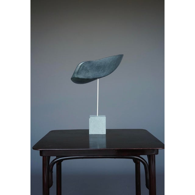 Abstract Organic Sculpture in Polished Grey Stone, 1980s For Sale - Image 4 of 15
