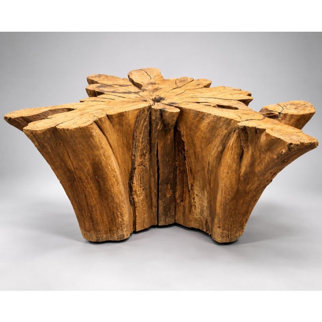 1960s 1960s Cypress Tree Trunk Table Base For Sale - Image 5 of 8