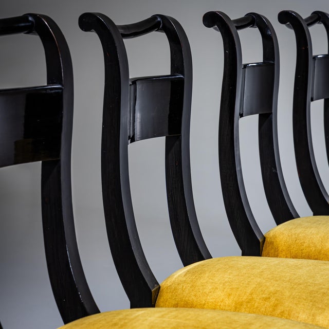Biedermeier Dining Chairs, Early 19th Century, Set of 8 For Sale - Image 11 of 16