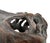 Brown Late 20th Century Tyrannosaurus Rex Skull Sculpture For Sale - Image 8 of 13