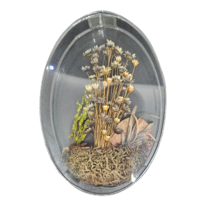 Vintage Sun Catcher Dried Flowers Clear Glass Round Beveled Glass Handmade With Straw Flowers, Made in Poland
