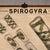 Industrial Mid 20th Century Educational Botanical Spirogyra Biology Chart by New York Scientific Supply Co. For Sale - Image 3 of 12