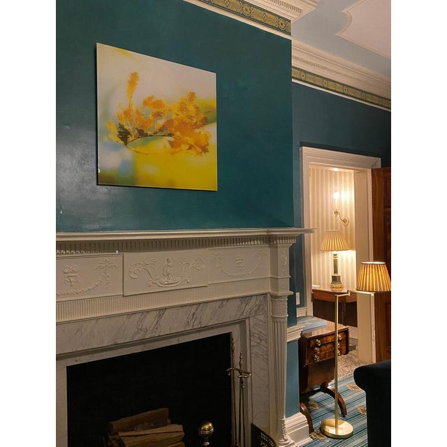 MK Semos, Abstract Image, Film Photograph, 2025 For Sale - Image 9 of 12