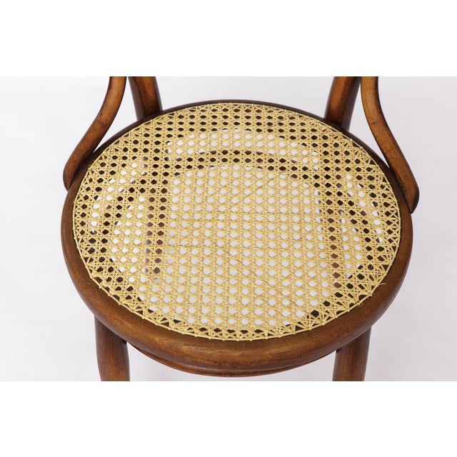 Thonet Antique No. 14 Chair Viennese Coffee House Bentwood Chair with Cane Seat by Michael Thonet for Thonet, 1920s For Sale - Image 4 of 10